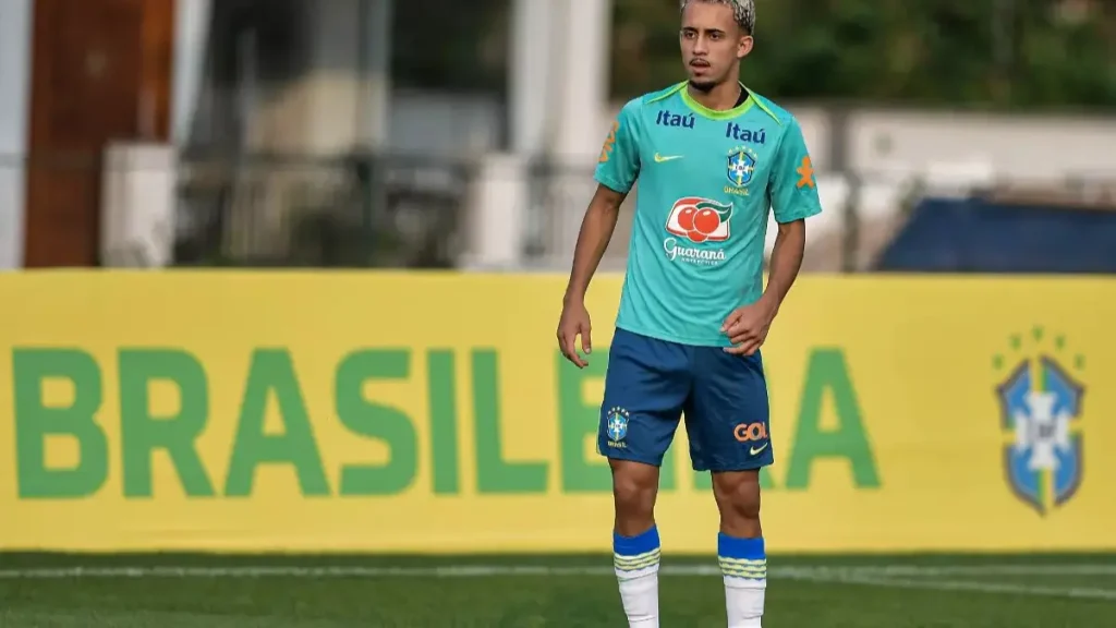 flamengo na selecao brasileira