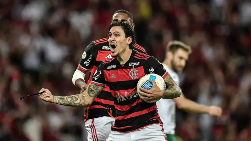 pedro flamengo onde assistir