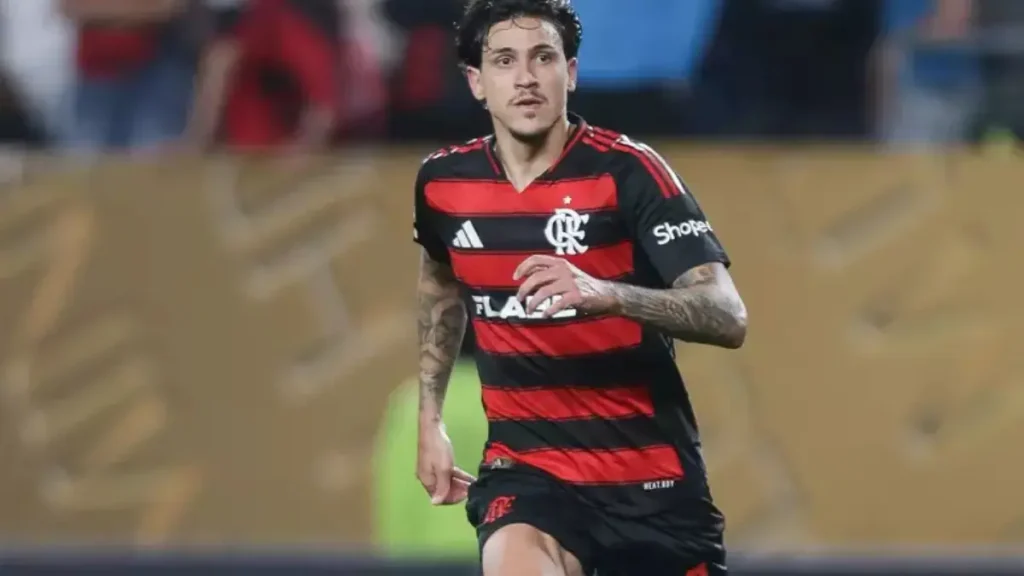 pedro flamengo